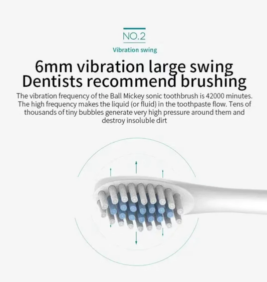 Sonic Electric Toothbrush, USB Rechargeable with 3 Brush Heads & 6 Modes | IPX7 Waterproof for Adults and Kids